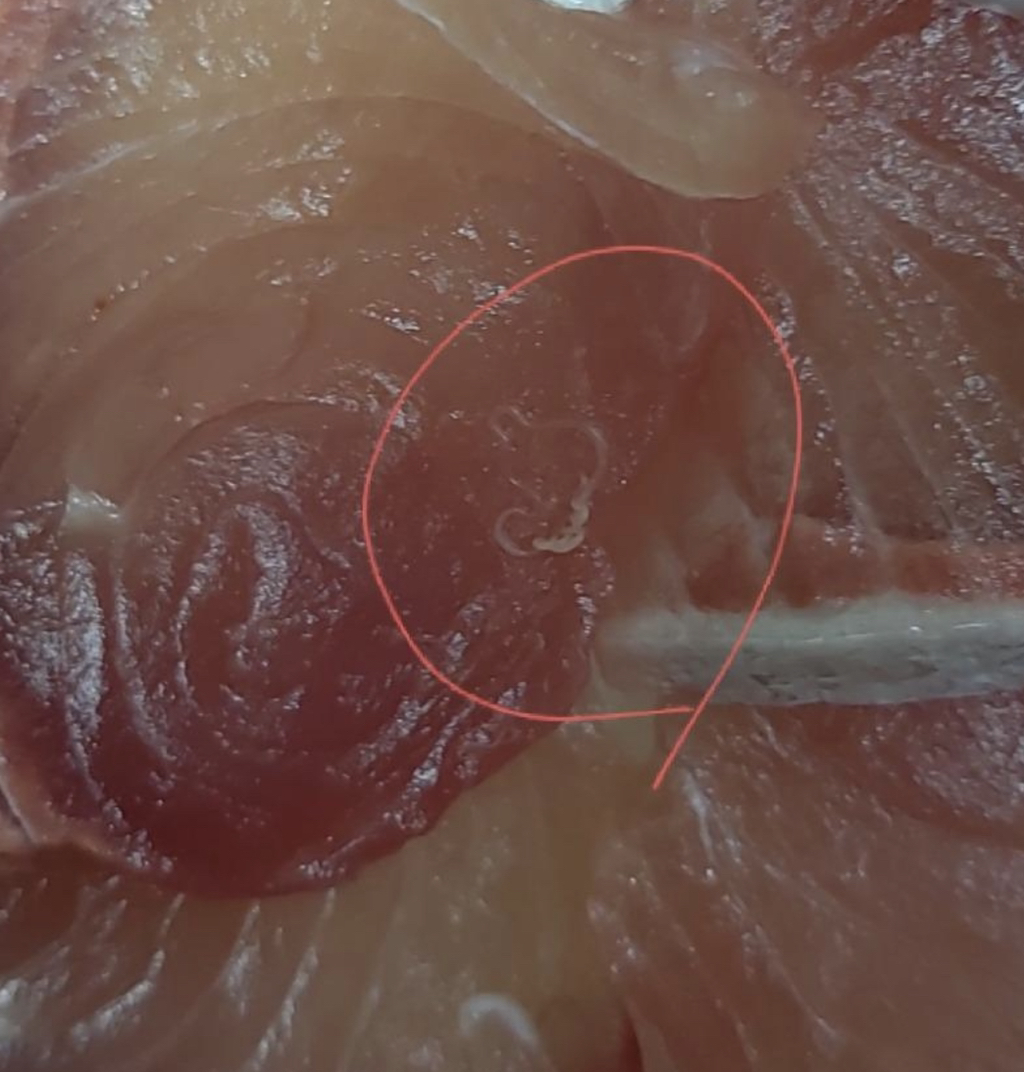 알고나면 못먹는 음식들 (비위약하면 보지마세요) | 인스티즈