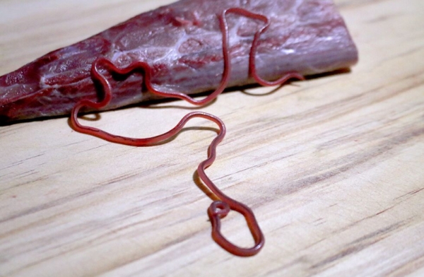 알고나면 못먹는 음식들 (비위약하면 보지마세요) | 인스티즈