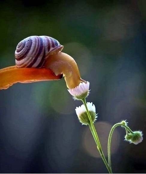 별란 이미지