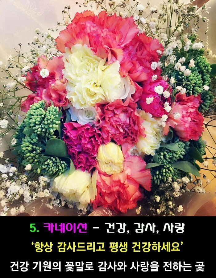 꽃보다사랑 이미지