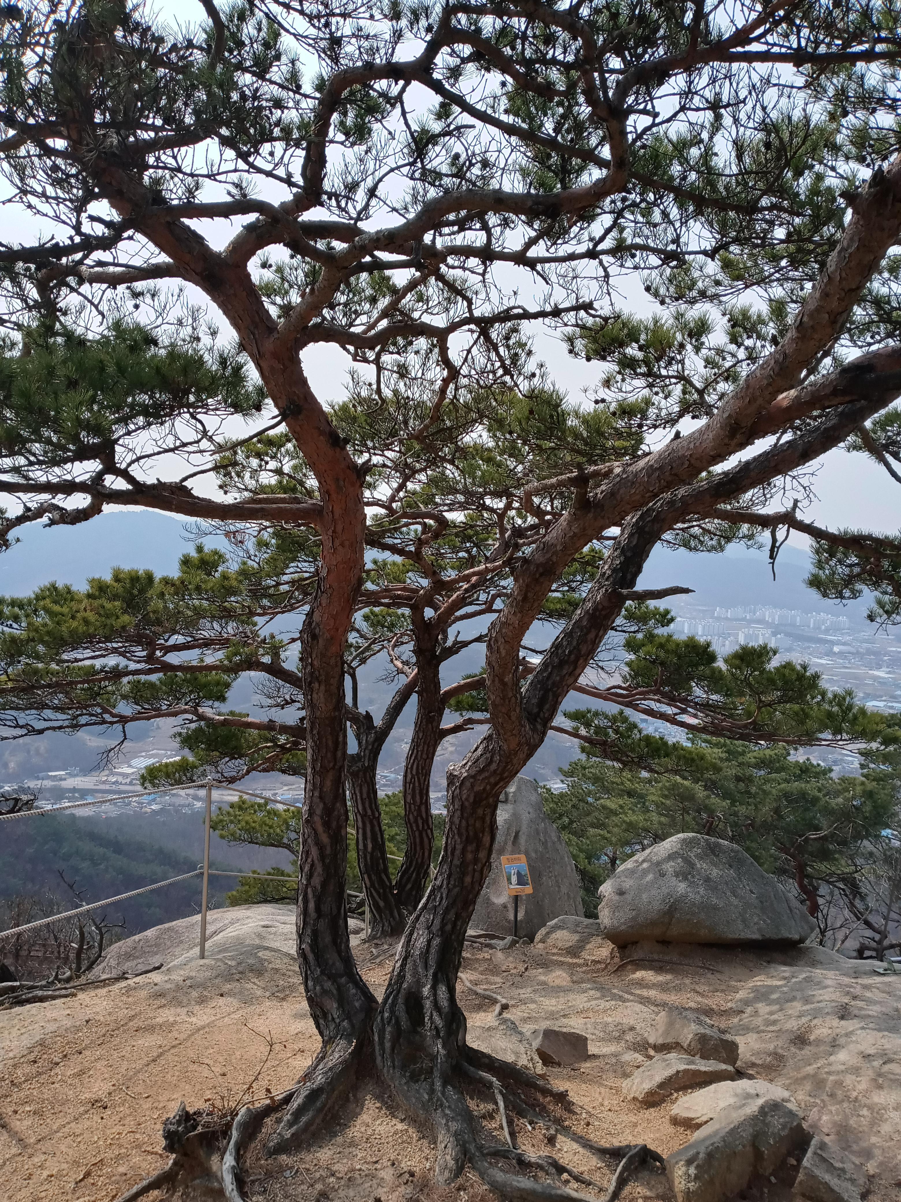 쌍둥이바위 이미지