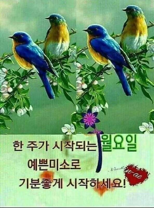 달모임 이미지
