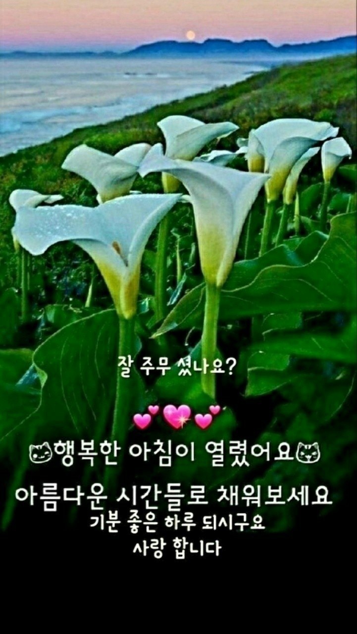 한주 이미지