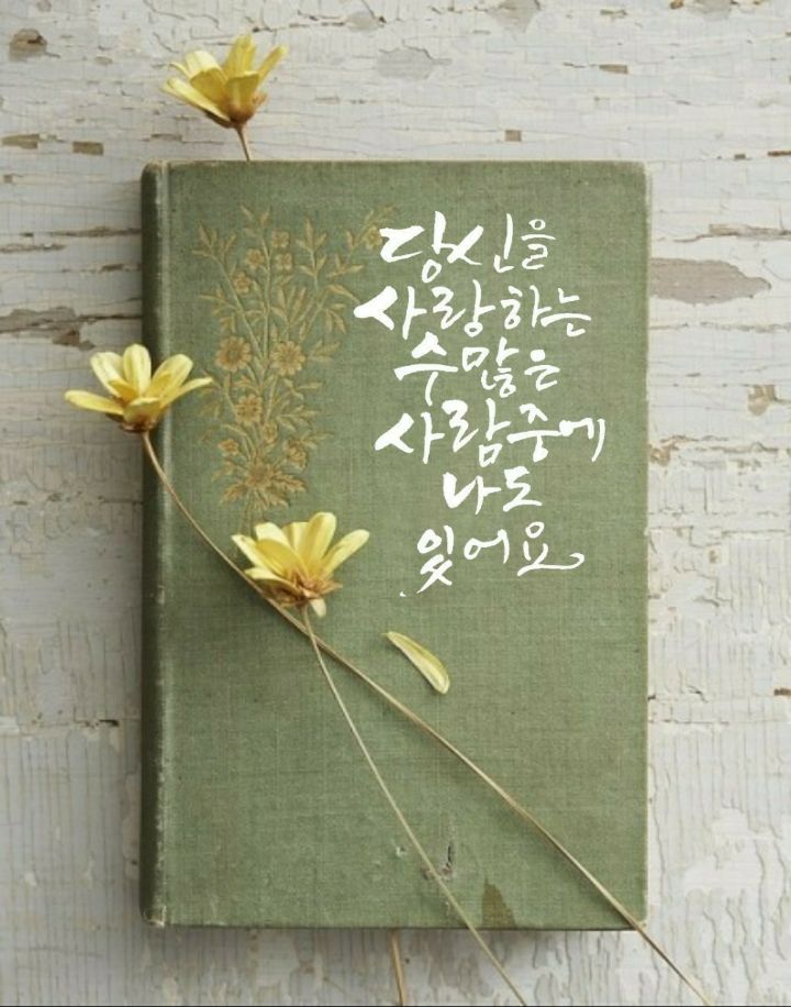 스카이골드 이미지