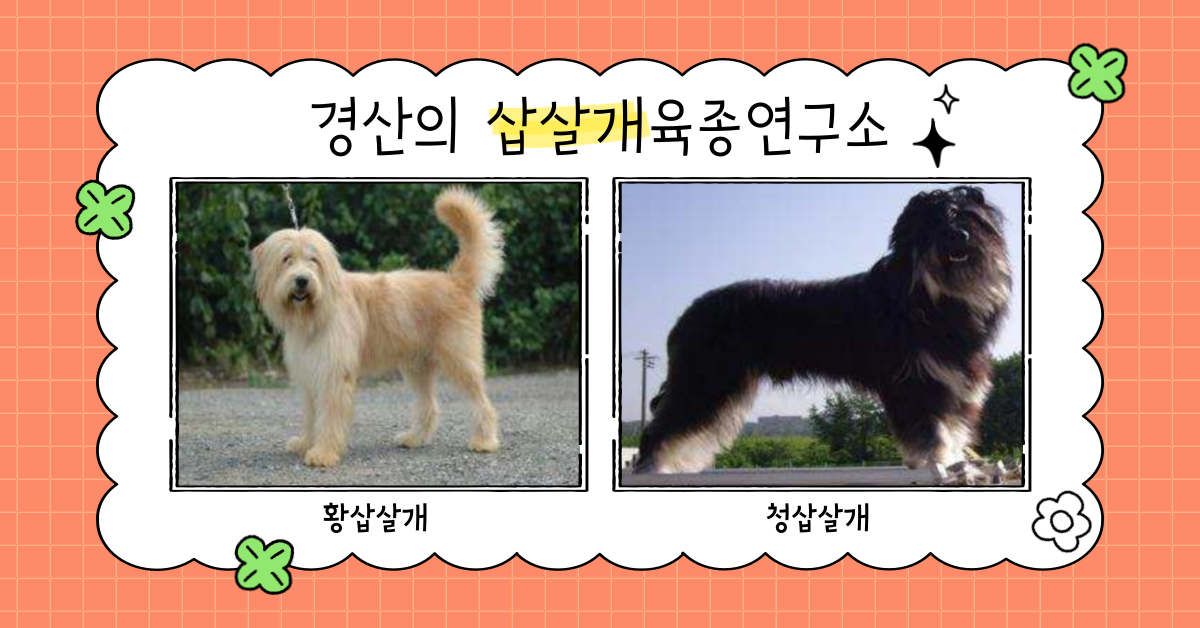 농촌진흥청(국립축산과학원) 이미지