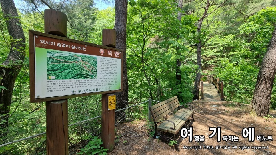 와니코스 이미지