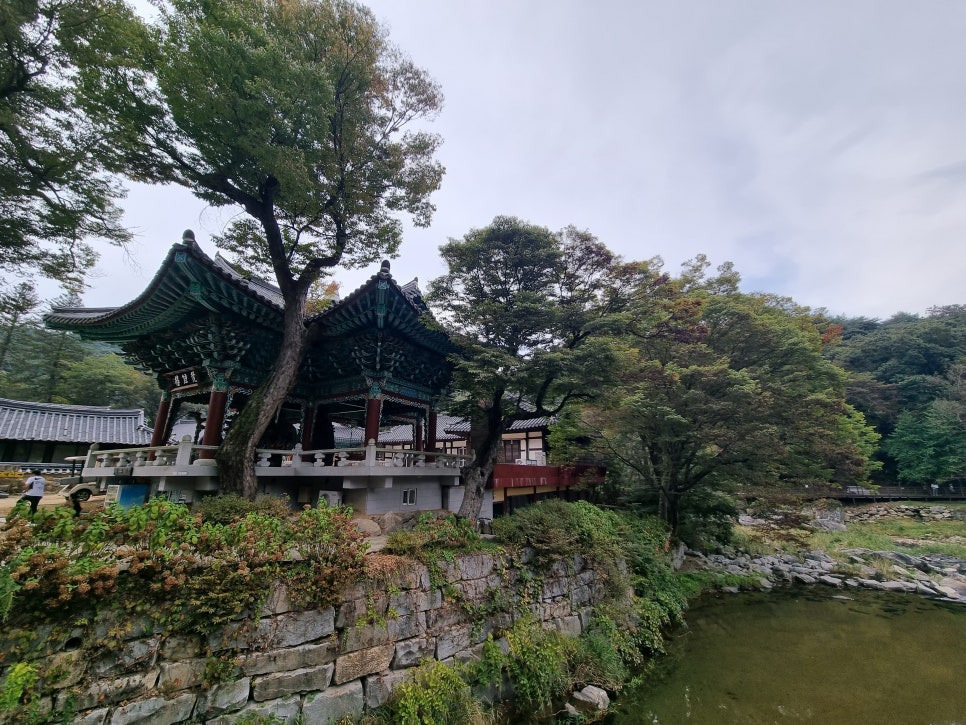태화산 이미지