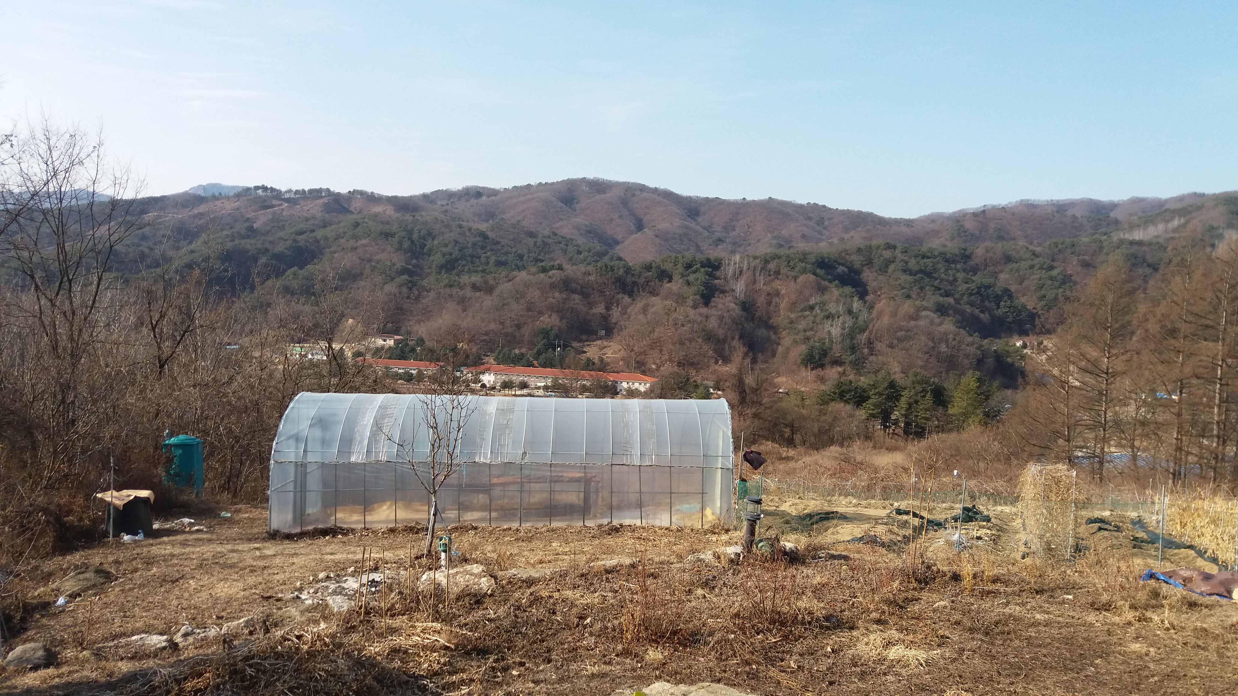과실작물 재배업 이미지
