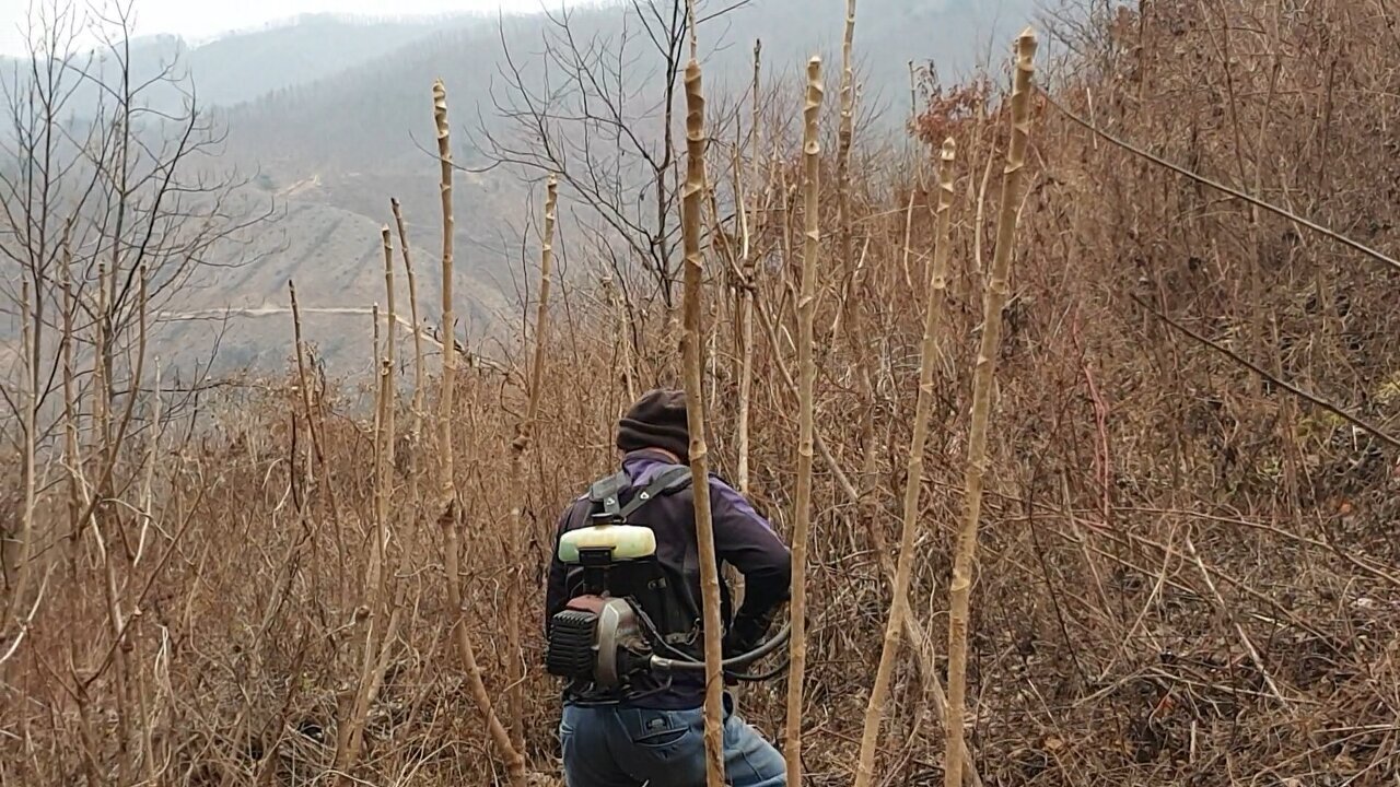 진안농원 이미지