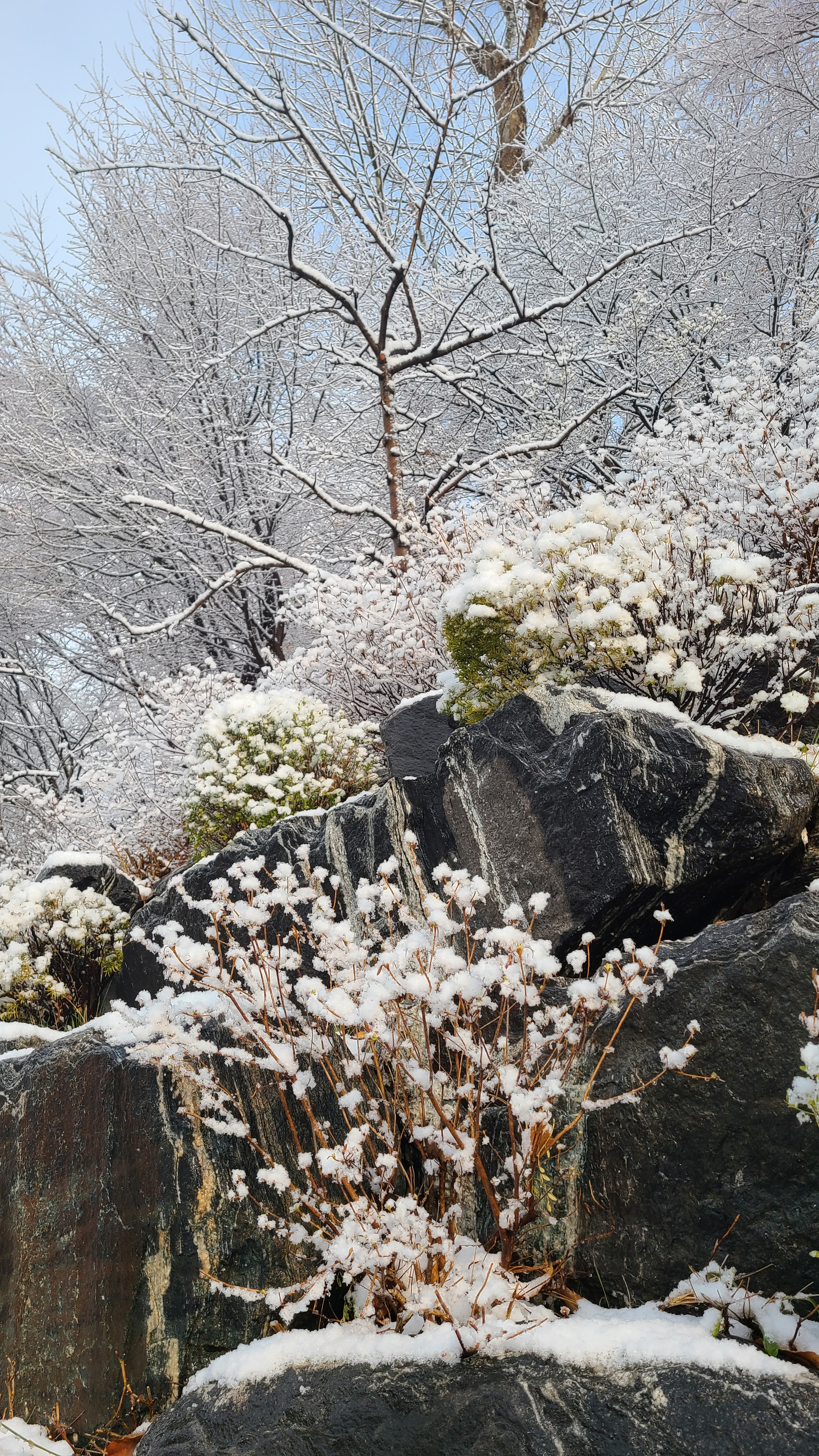 삼월 이미지