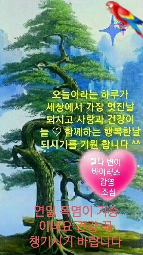 건강한하루 이미지