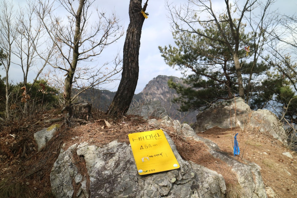 아미산 이미지