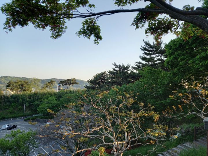 서천군청 이미지