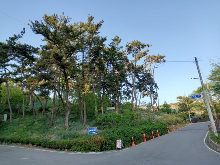 서천군청 이미지