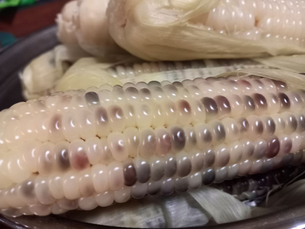 수염농장 이미지
