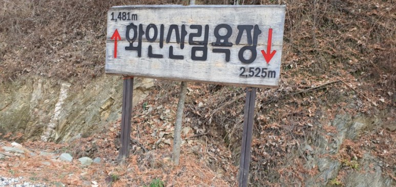 홍일상사 이미지