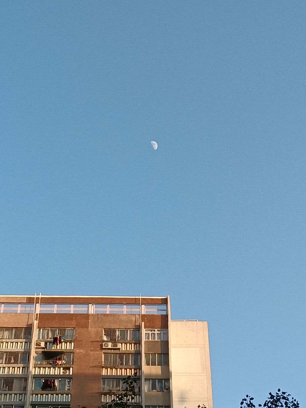 꿈을뜨는언니 이미지