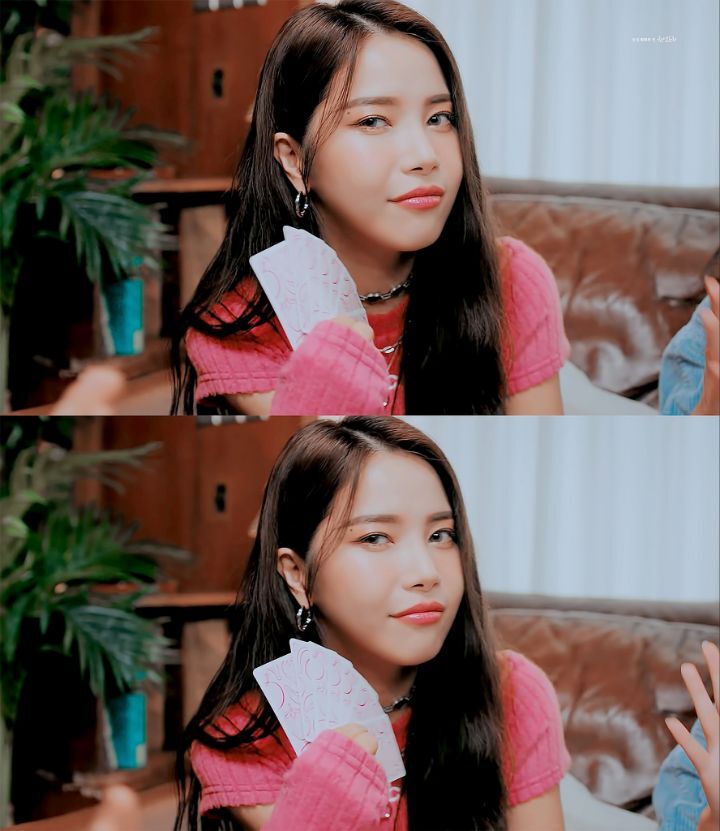 솔사랑 이미지