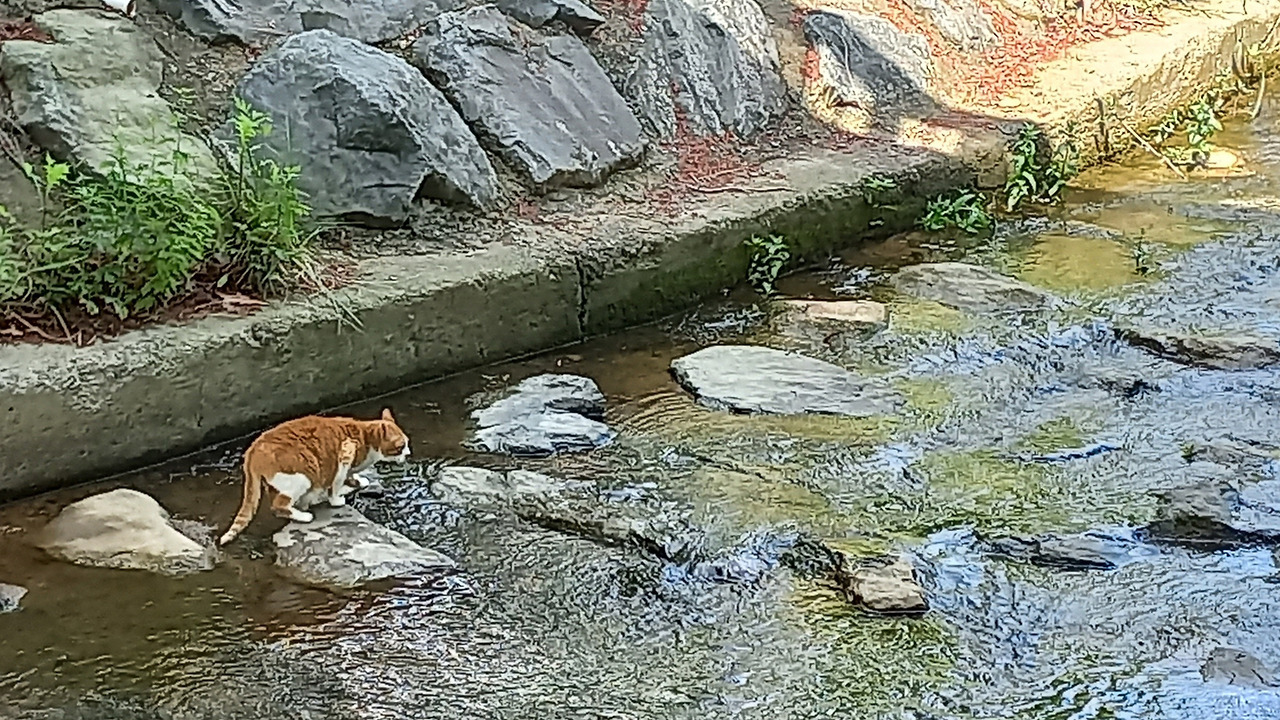 영해 이미지