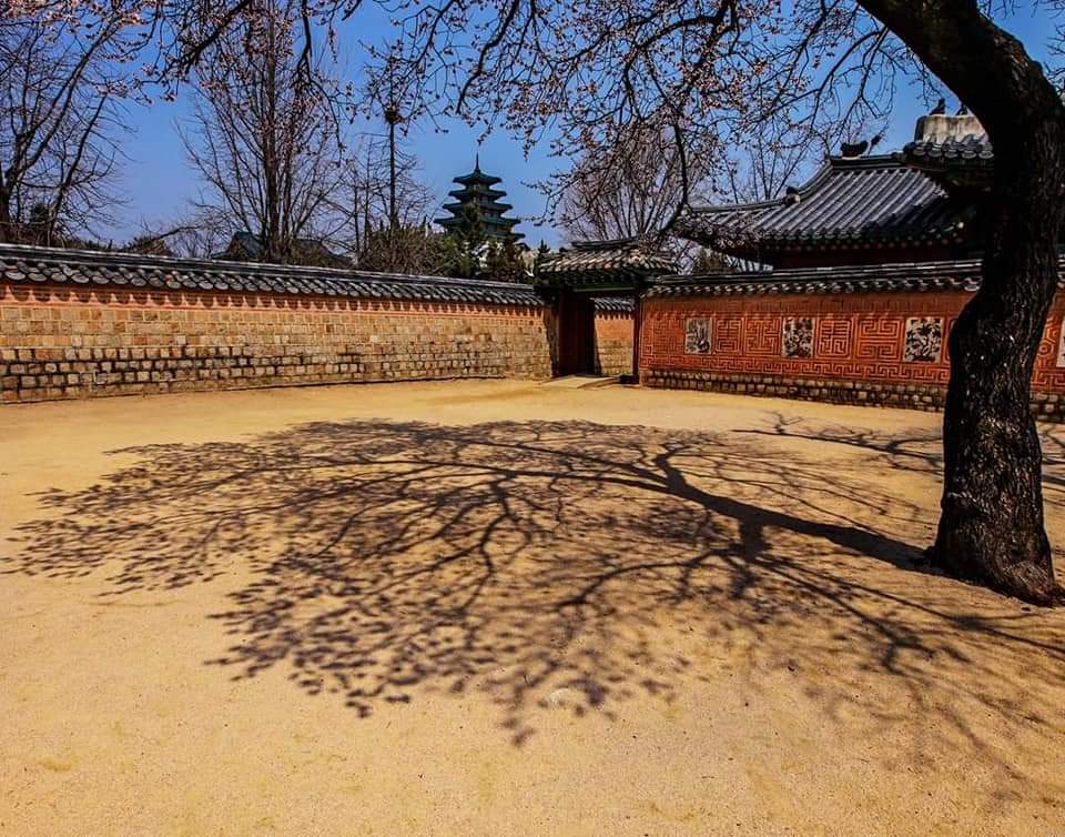 그린소주방 이미지