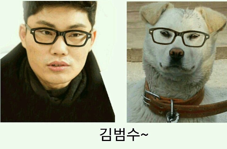 닮은사람들 이미지