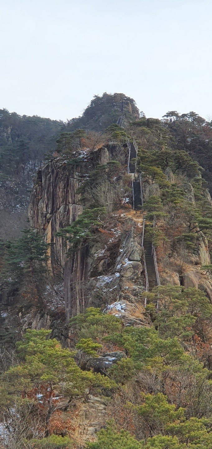 명월 이미지