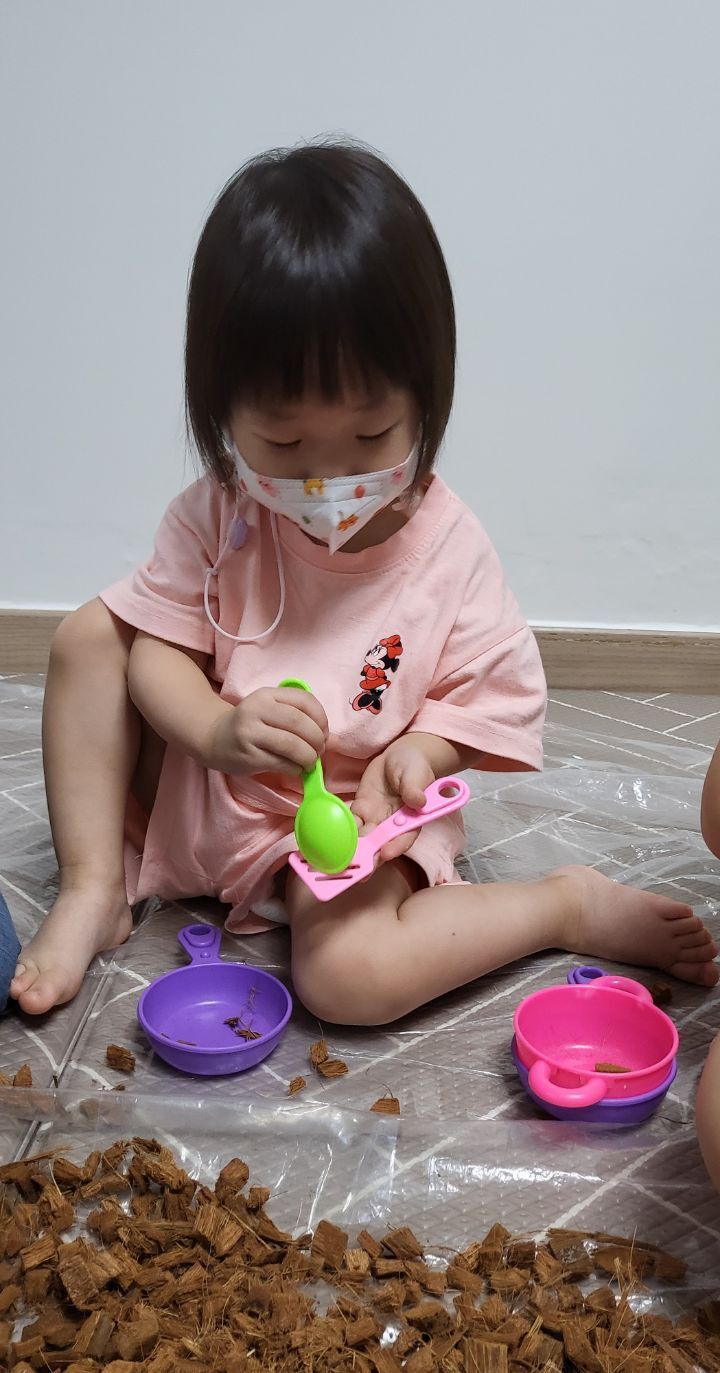 알로하 하와이 이미지