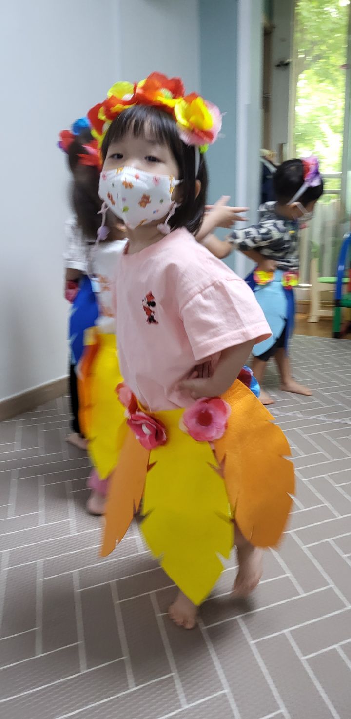 알로하 하와이 이미지