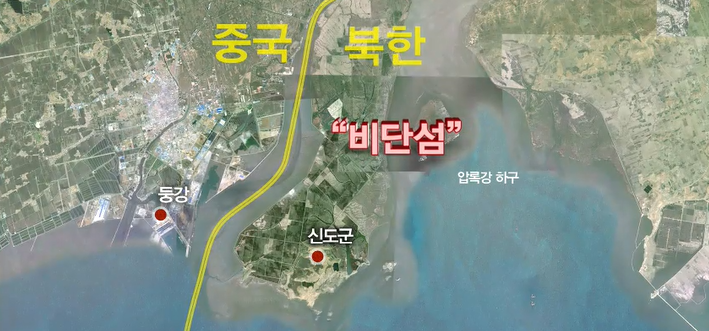 황금비단 이미지