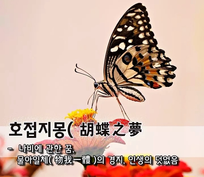 호접지몽 이미지