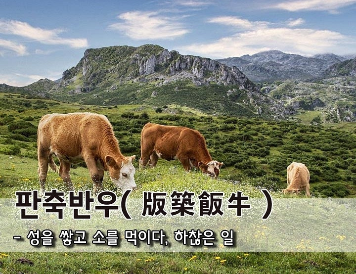 반우 이미지