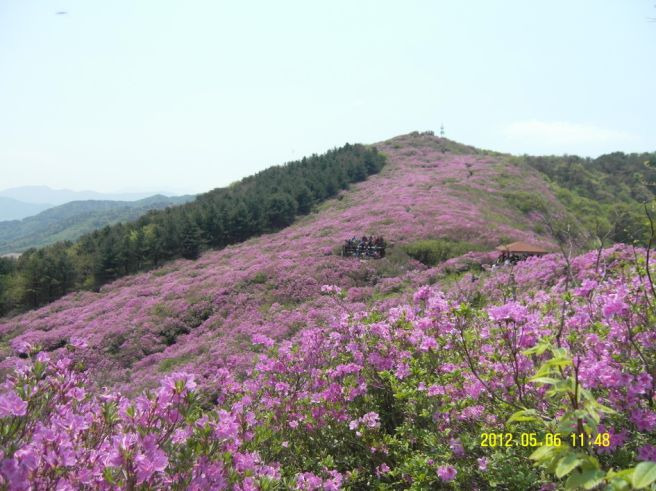 봉화산 이미지