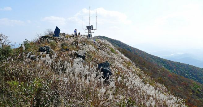 오서산 이미지