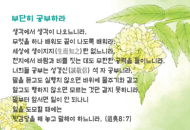 중용 이미지