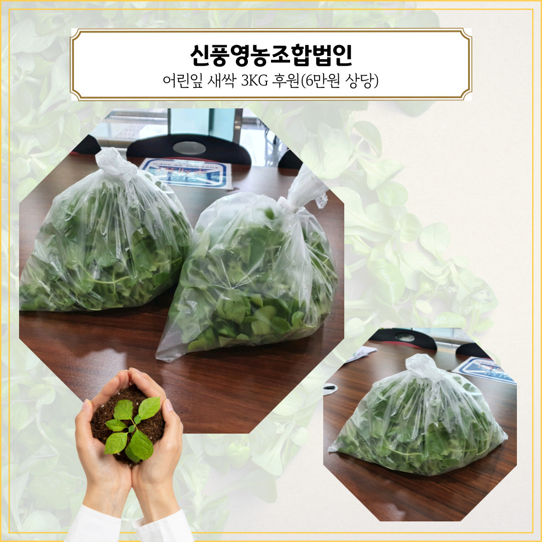 신풍영농조합법인 이미지