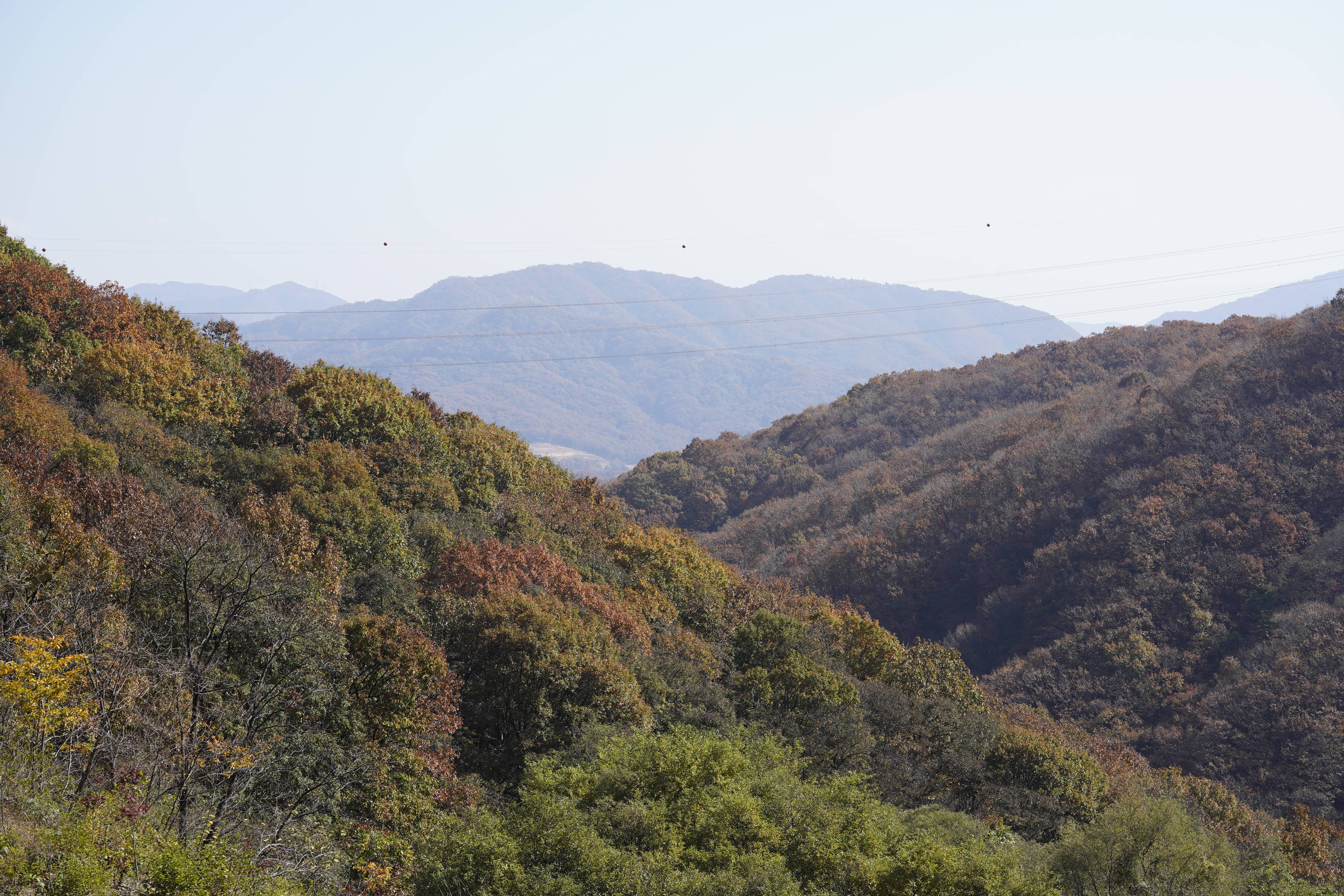 성거산성지순례 개인사진1 - ♱ 사진 자료실 - 망우동성당사목회 성거산성지순례 개인사진1