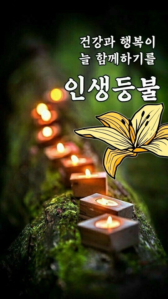 봄날같은하루 이미지