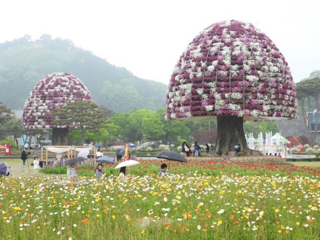 나비나b 이미지