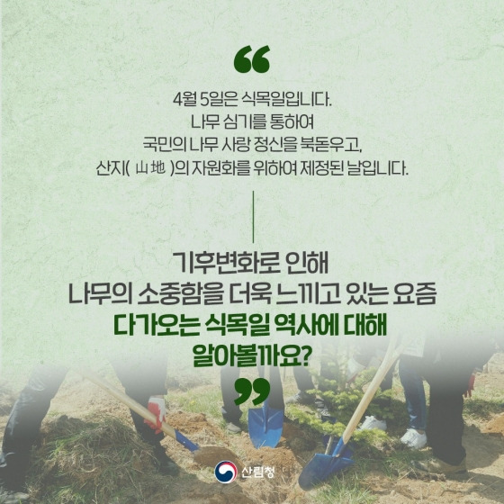 식목일 이미지