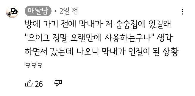 [매탈남] 언니를 냅다 가둬버린 동생 고양이 | 인스티즈