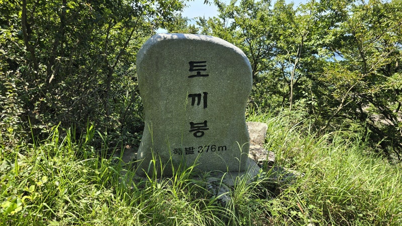 약산도 이미지