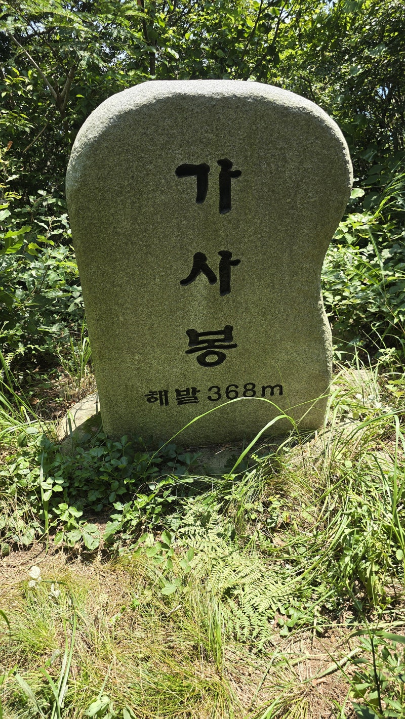 약산도 이미지