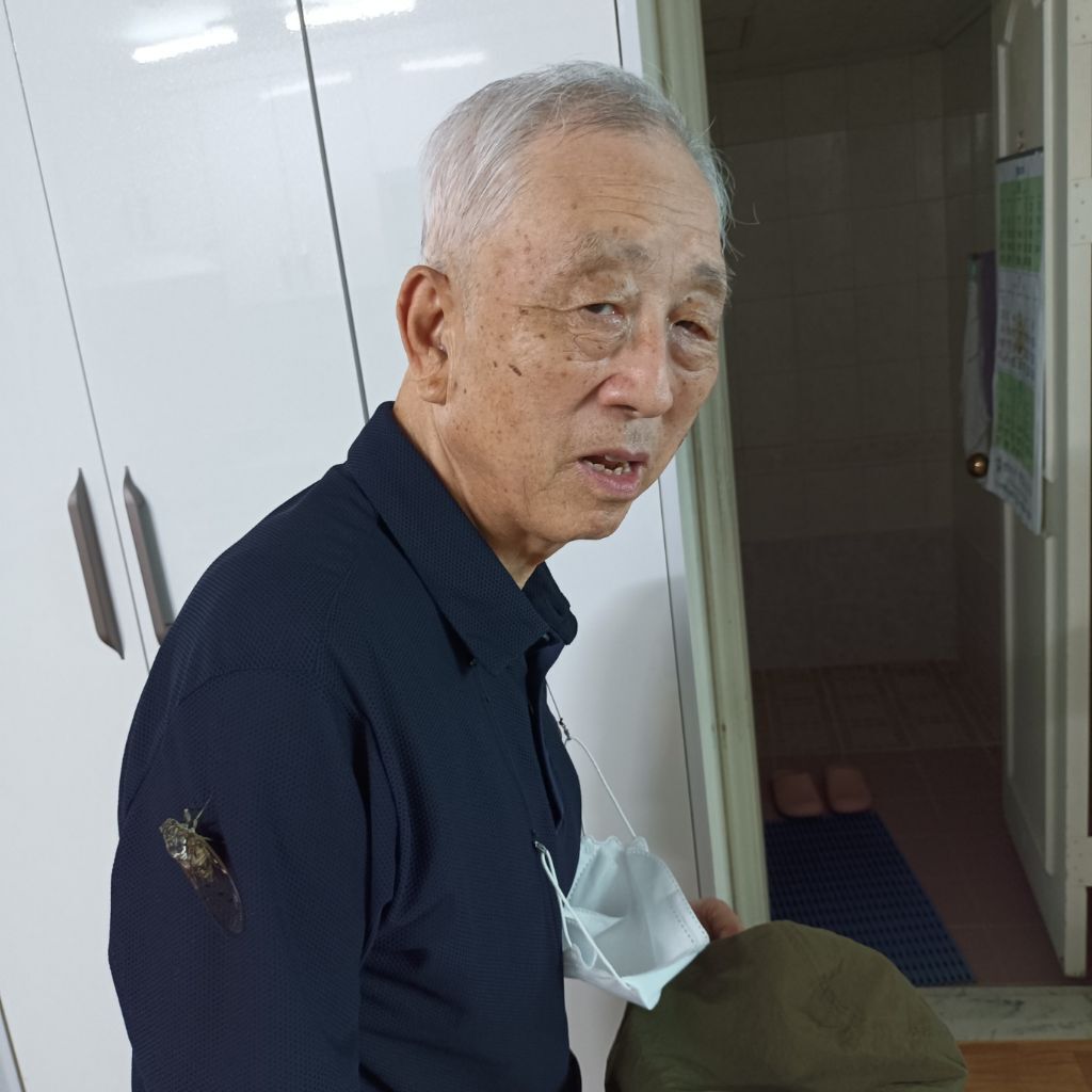 고목나무집 이미지