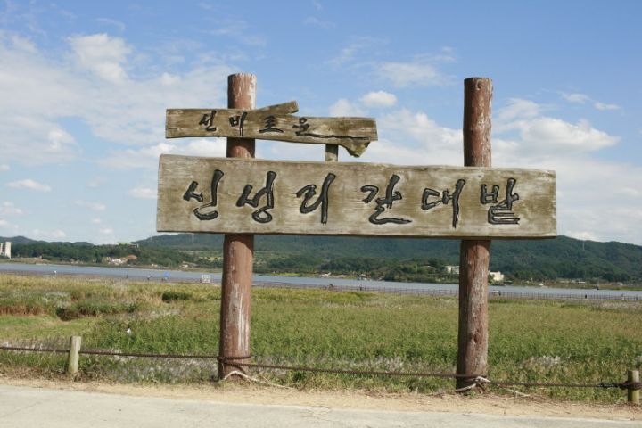 신*성 이미지