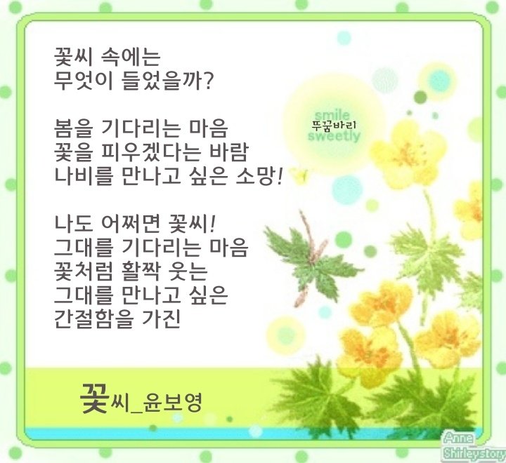 꽃씨 이미지