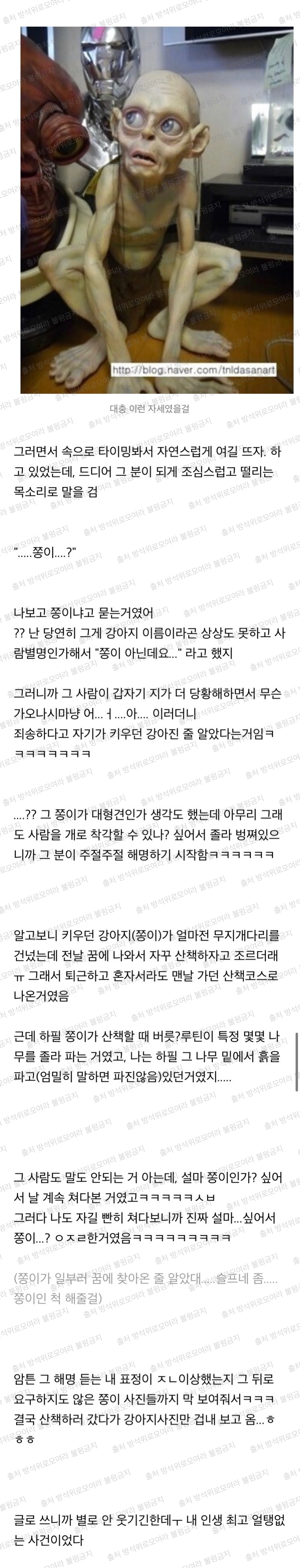 [방웃] 나 어제 떨어진 귀걸이 찾고있는데 누가 나보고 자기 강아지냐고 물어보는 이상한 경험함ㅋㅋㅋㅋ+귀걸이 결말 추가 | 인스티즈