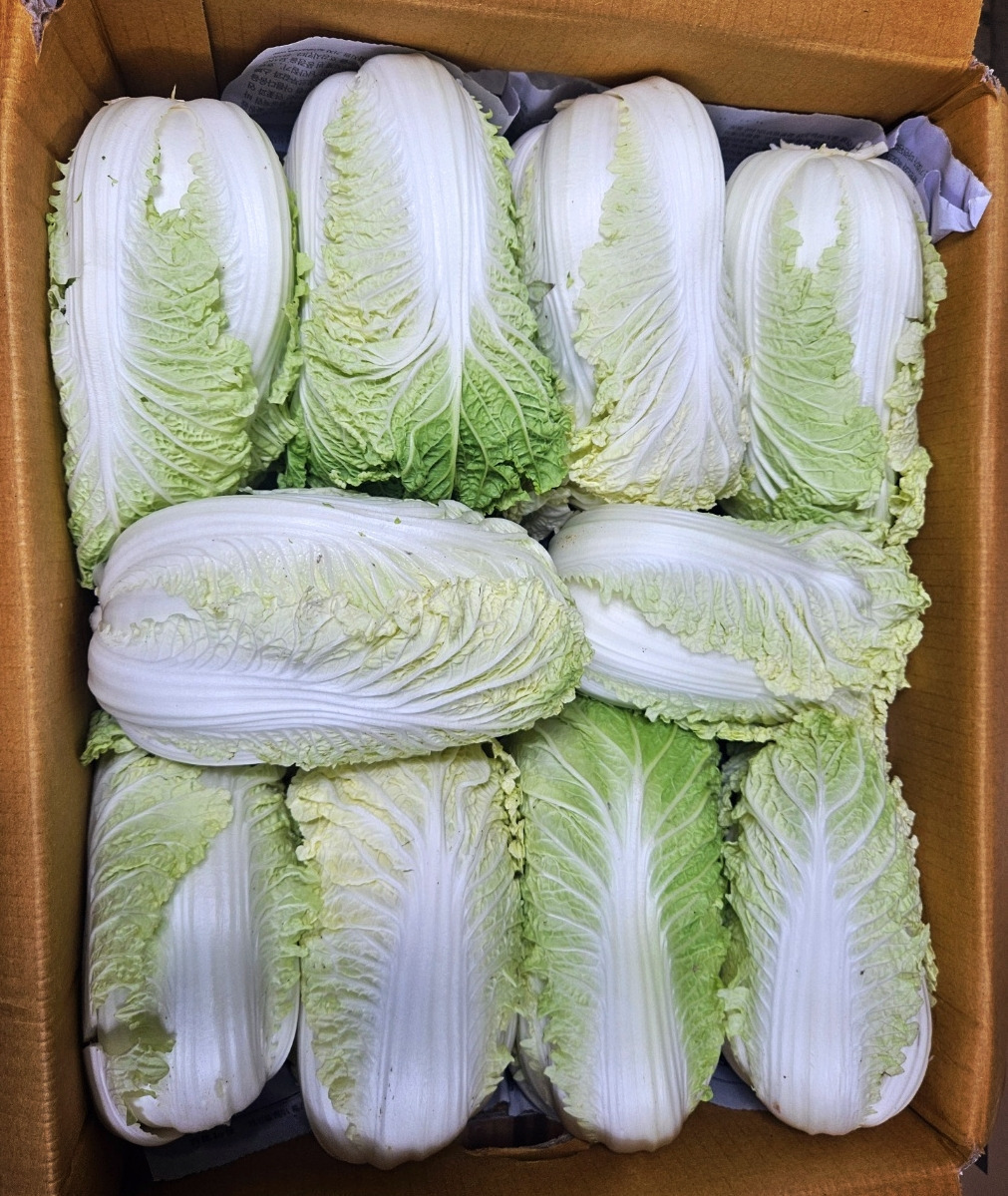 알배기 이미지