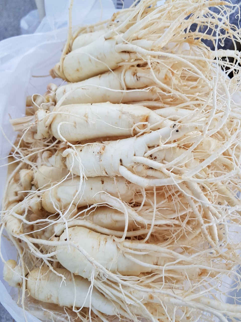 금산인삼 이미지