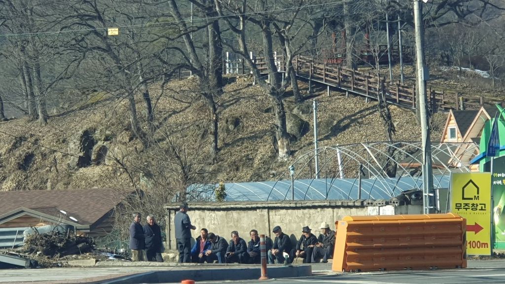 담장아래 볕 이미지
