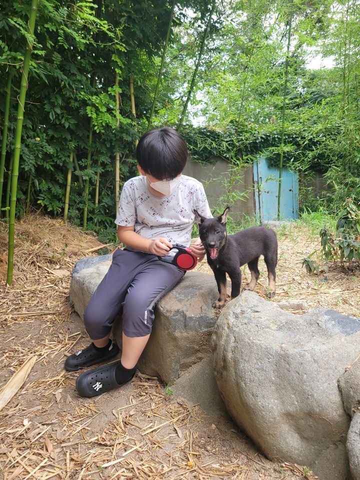 오꼬미 이미지